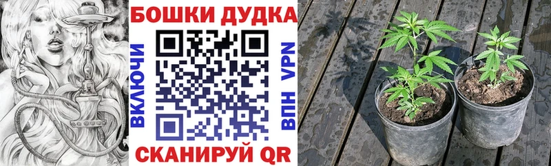 Бошки Шишки VHQ  наркота  Нефтегорск 